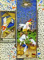 Nativite, Vendange